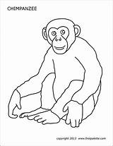 Chimpanzee Printable Coloring Monkey Pages Templates Template Color Printables Firstpalette Animal Visit sketch template