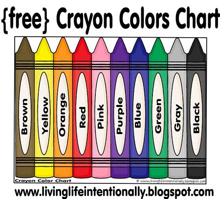 unique printable color chart  preschool body template