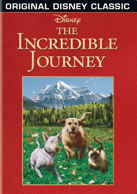 buy  incredible journey dvd