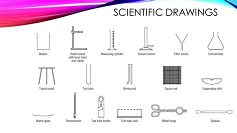 sketch spatula laboratory apparatus drawing  spatulas