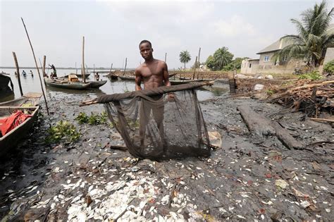 Shell Oil Spills Led To ‘astonishingly High’ Pollution In Nigeria Wsj