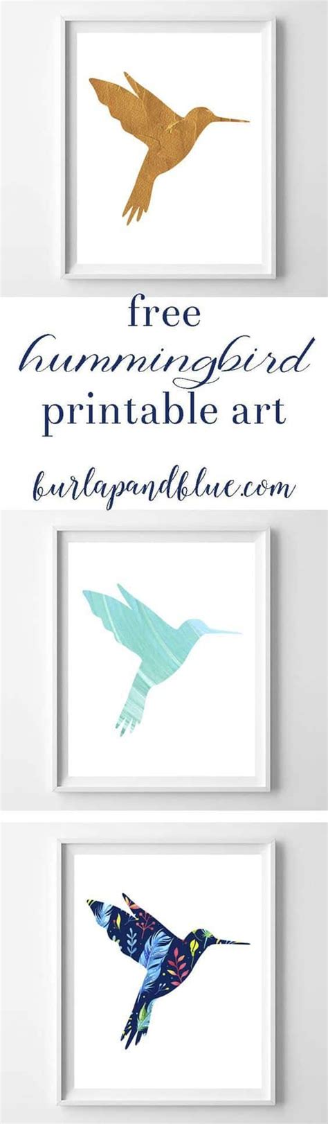 printable pictures  hummingbirds