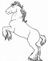 Rearing Coloring Pages Horse Horses Print Printable Drawings Sheets Draw Getcolorings Color Pencil Getdrawings sketch template