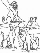 Lion King Coloring Pages Printable Simba Procoloring Colouring Nala sketch template