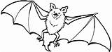 Bat Coloring Pages Printable Bats Print Cartoon Kids Animal Spider sketch template
