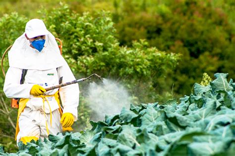 report pesticides dont feed  world civil eats