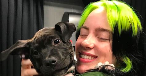 billie eilish reacts   dog  number    expensive sneakers