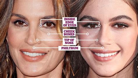 face map shows the features you re likely to inherit daily mail online