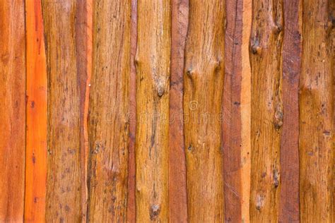wooden wall stock image image  array decorate conservation