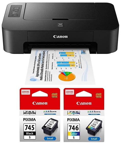 amazonin buy canon ts single function colour printer  pgs
