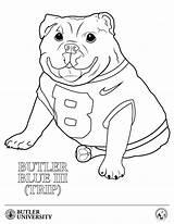 Bulldog Cheerleading sketch template