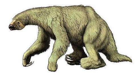 5 Ground Sloth Ice Age Prehistoric Amino Amino