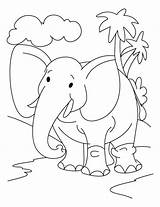 Coloring Elephant Jungle Pages Preschoolers Drawing Colouring Baby Clipart Print Kids Elmer Bestcoloringpages Preschool Elephants Colour Disney Animal Popular sketch template