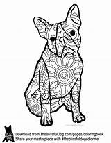 Coloring Pages Endangered Species Animals Getdrawings sketch template
