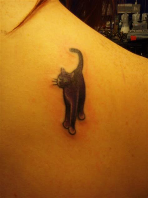 cat tattoo new style