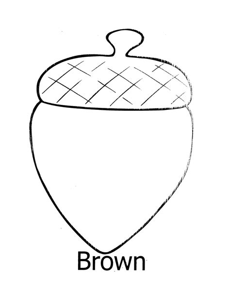 printable acorn template coloring page acorn template