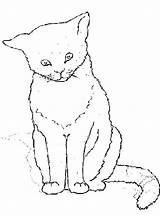 Poes Kleurplaten Poezen Katze Katten Katzen Ausdrucken Kleurplatenenzo Ausmalbild Dieren Malvorlage Zittende Simpele Printen Hondjes Stappen sketch template
