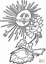 Colorat Soarelui Floarea Girassol Soarele Planse Girasole Soare Girasol Fise Disegnare Stampare sketch template