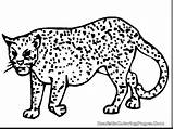 Cheetah Coloring Pages Cub Cheetahs Drawing Leopard Easy Getdrawings Running Color Getcolorings Girls Draw Clouded Printable Results Popular Uteer sketch template