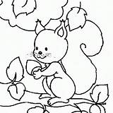 Coloring Squirrel Preschool Library Clipart Dibujar Ardillas Imagenes Para sketch template