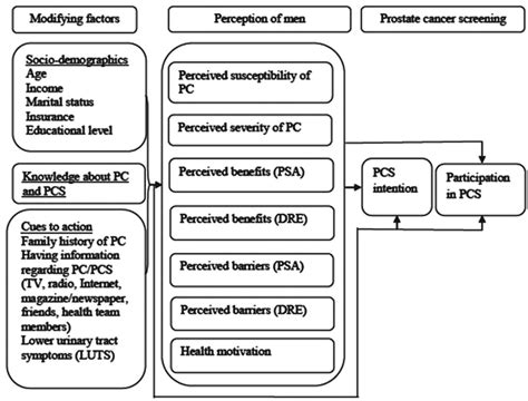 modified health belief model for prostate cancer intention