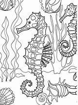 Coloring Sea Under Pages Color Creatures Print Underwater Kids Adult Adults Book sketch template
