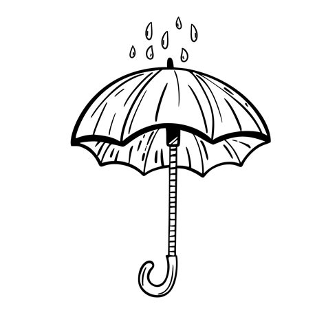umbrella sketch hand drawing   design  vector art