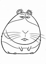 Norman Coloriage Ausmalbilder Hamster Dibujar Secreta Colorir Bêtes Bichos Betes Animali Coloriez Getcolorings Imprimir Websincloud sketch template