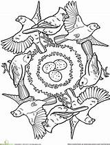 Mandala Coloring Bird Pages Mandalas Animal Color Choose Board sketch template