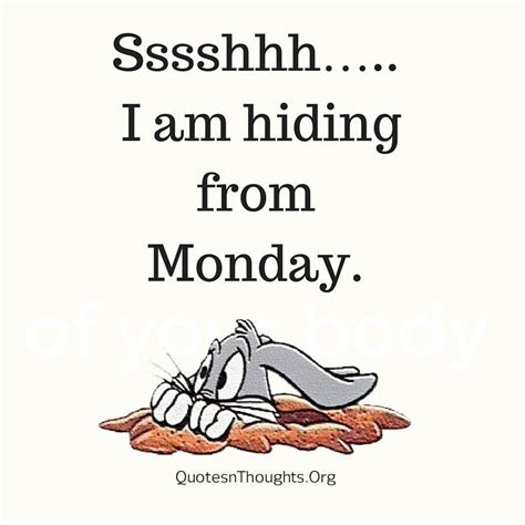 shhhh i am hiding from monday pictures photos and images