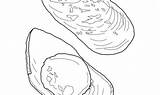 Cozza Molluschi Moules Printmania sketch template