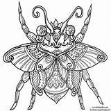 Welshpixie Beetle Coloring Pages Deviantart Colouring Adult sketch template
