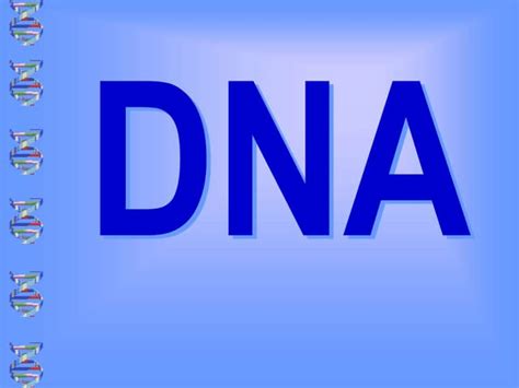 nucleic acids dna  rna structure  function