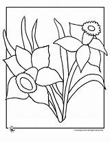 Coloring Daffodil Pages Spring Flowers Flower Printable Colouring Patterns Printables Kids Library Clipart Comments sketch template