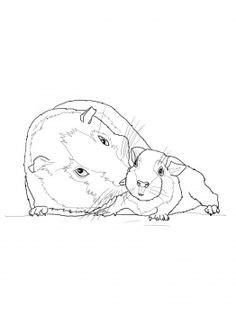 mommy  baby animals coloring pages printable baby animals