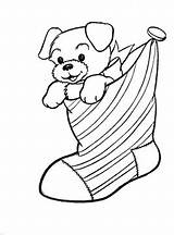Coloring Pages Mutt Stuff Getcolorings Preschool sketch template