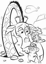 Madagascar Melman Colorat Madagaskar Plansa Tigrisor Confida Julien Malvorlagen Kleurplaat Planse Stampare Kolorowanki Coloradisegni Trist Kolorowanka Giraffa Roi Cartone sketch template