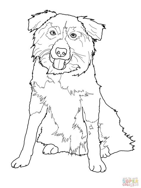 collie coloring pages  getcoloringscom  printable colorings