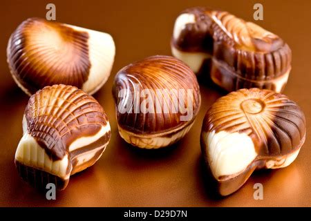 belgische schokolade muscheln stockfoto bild  alamy