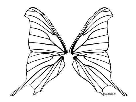 coloring butterfly wings