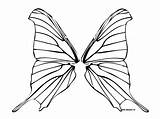 Wings Butterfly Coloring Fairy Pages Outline Template Wing Draw Butterflies Clipart Horse Tattoo Arabian Clip Colouring Insect Book Projects Designs sketch template