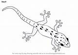 Gecko Lizards Necessary Improvements Drawingtutorials101 sketch template