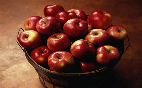 apple fruit photo  fanpop