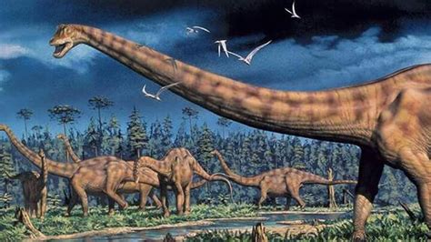 Diplodocus Herd Artwork By Mark Hallett Paleontology Dinosaurs And