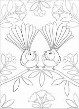 Fantail sketch template