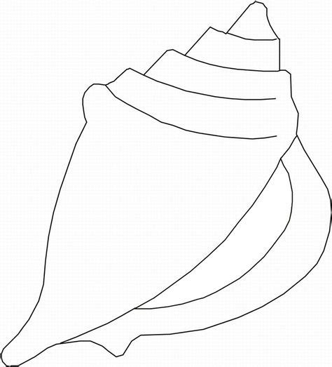 printable pictures  sea shells seashell coloring page twisty