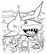 Shark Coloring Printable Pages sketch template