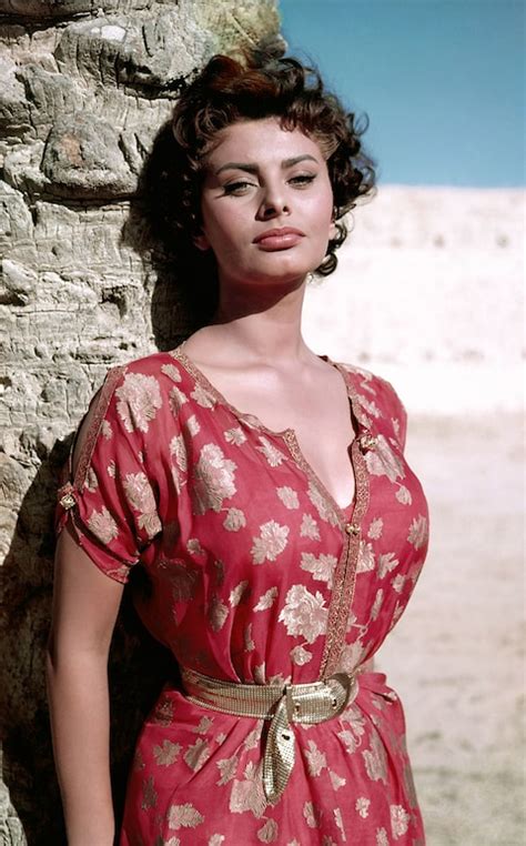 beauty flashback sophia loren s glamour