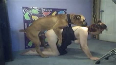 girl fucked by rottweiler best porno