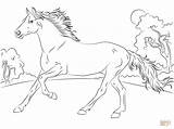 Pferde Malvorlage sketch template